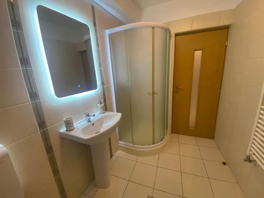 Penthouse 145mp - Living Spatios - 2 Dormitoare Cu Baii Private - Bucatarie Complet Utilata Mogosoaia